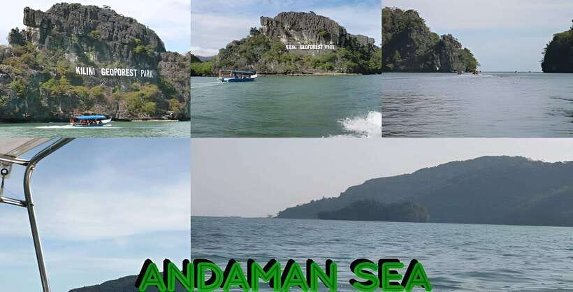 Langkawi: Mangrove Tour with Kilim Geoforest Park & Bat Cave - Eagles, fish, and the limits of wildlife promises