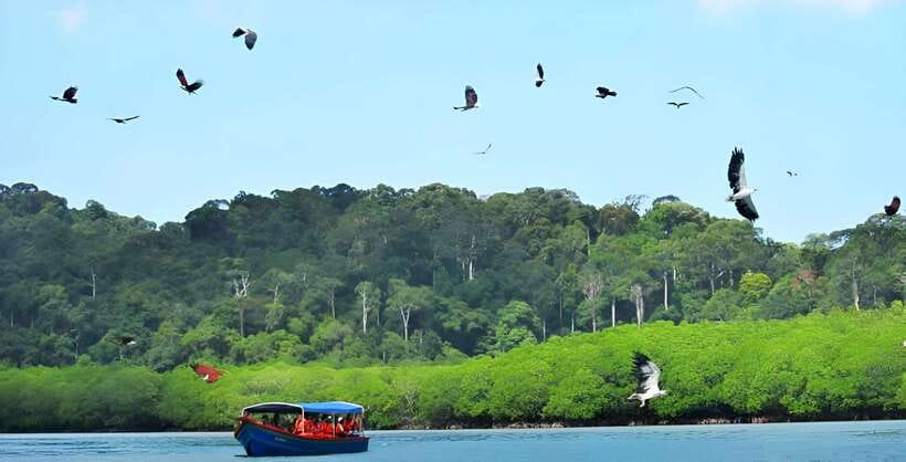 Langkawi: Mangrove Tour with Kilim Geoforest Park & Bat Cave - Leaving the mangroves for the Andaman Sea