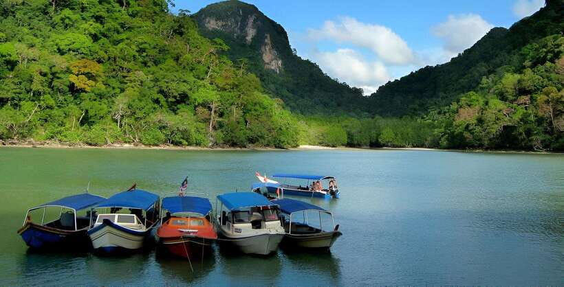 Langkawi: Mangrove Tour with Kilim Geoforest Park & Bat Cave - Mangrove channels and the importance of coastal trees