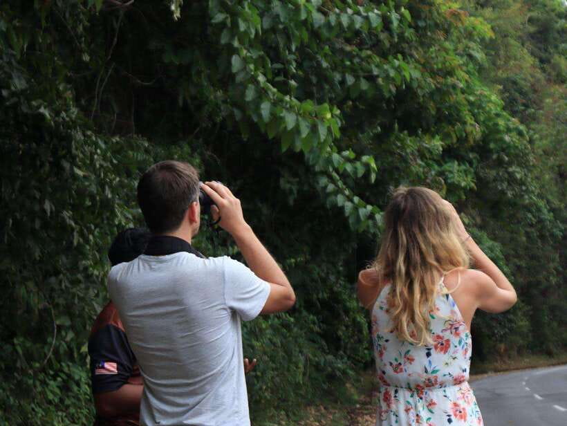 Langkawi: Nighttime Rainforest Tour with Nature Guide - Why this short Langkawi tour works so well