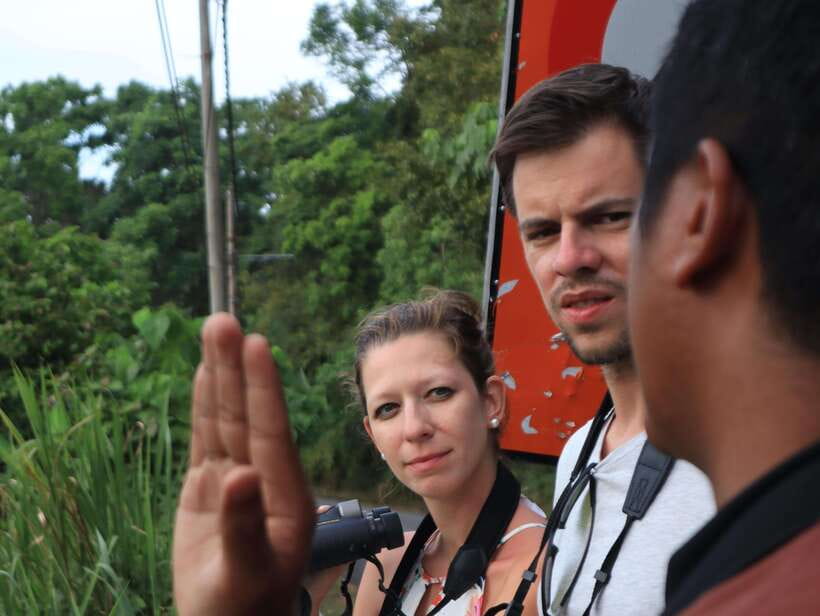Langkawi: Nighttime Rainforest Tour with Nature Guide - Sunset from the island’s highest peak