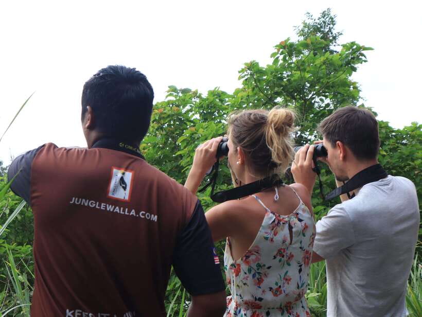 Langkawi: Nighttime Rainforest Tour with Nature Guide - Price, timing, and practical value