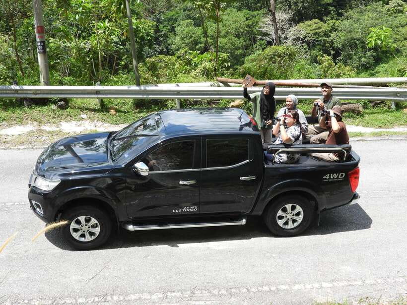 Langkawi: Nighttime Rainforest Tour with Nature Guide - Who should book this evening in Langkawi?