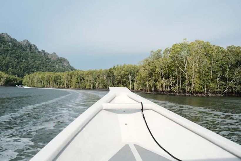 Langkawi: Private 2-Hour Mangrove Tour with Hotel Transfer - Key points to know before booking
