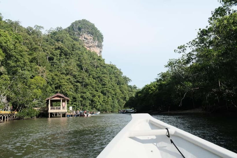 Langkawi: Private 2-Hour Mangrove Tour with Hotel Transfer - Eagle watching in the mangrove channels