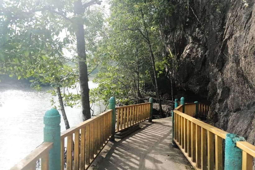 Langkawi: Private 2-Hour Mangrove Tour with Hotel Transfer - Sailing through Crocodile Cave