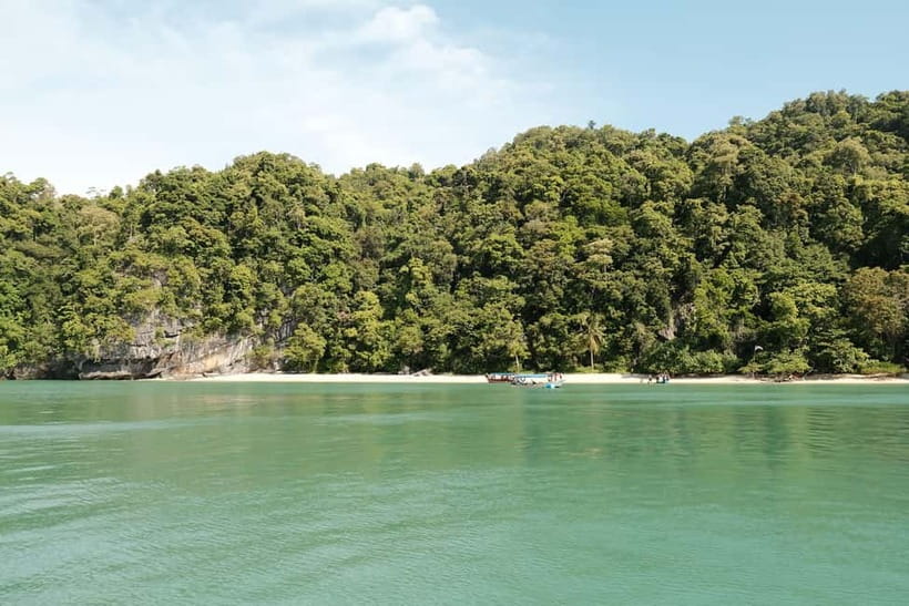 Langkawi: Private 2-Hour Mangrove Tour with Hotel Transfer - What the $119 group price really gives you