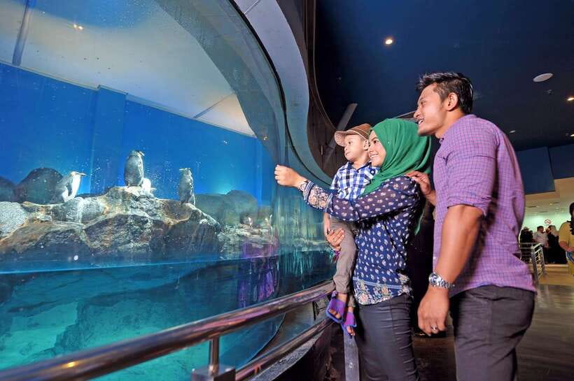 Langkawi: Private Tour with Sky Bridge and Cable Car - Private transport is useful, but the guide role needs checking