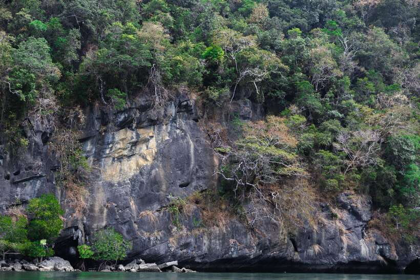 Langkawi Royal Mangrove Tour with Snorkeling Package - Dangi Island snorkeling: useful add-on, not the main reason to book