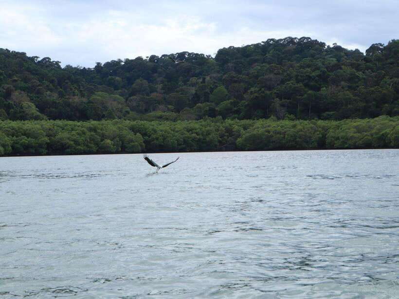 Langkawi: Southern Island Geopark Tour - Beras Basah or Teluk Cawi at the end