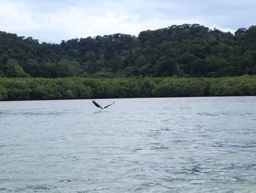 Langkawi: Southern Island Geopark Tour - What the $148 price really buys you