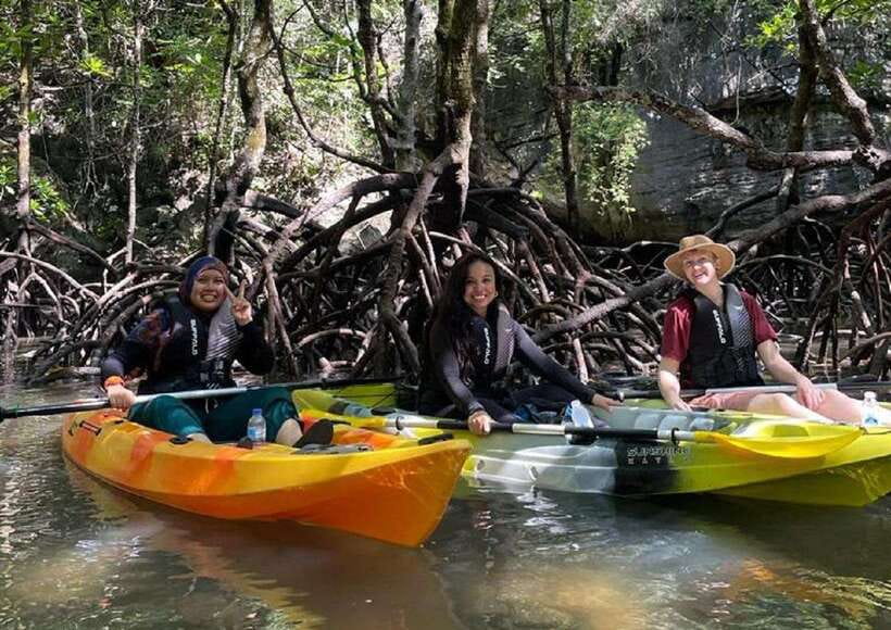Langkawi: Sunset Kayaking Tour - Should you book the Langkawi Sunset Kayaking Tour?