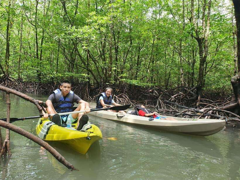 Langkawi: Sunset Kayaking Tour - Paddling through the mangroves