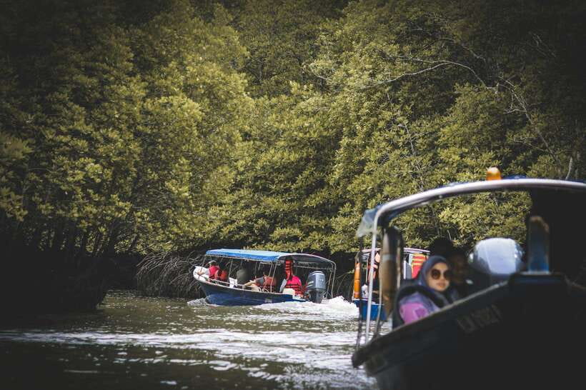 Langkawi: Tanjung Rhu Mangrove Speedboat Tour - The floating restaurant and mini fish show