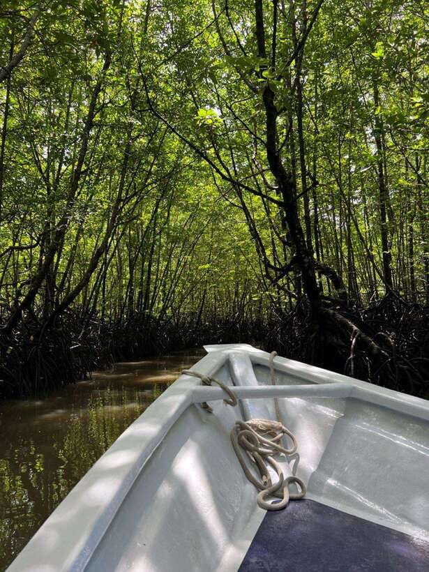 Langkawi: UNESCO Global Geopark Mangrove Cruise - Key points at a glance