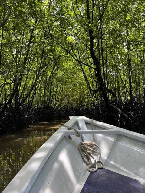 Langkawi: UNESCO Global Geopark Mangrove Cruise - What makes the limestone scenery special