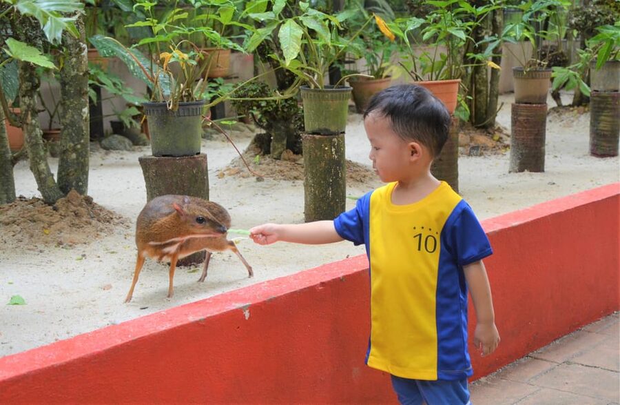 Langkawi: Wildlife Park Admission Ticket - Feeding sessions and close animal encounters