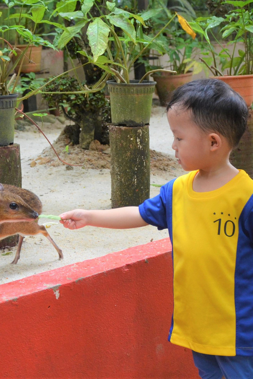 Langkawi: Wildlife Park Admission Ticket - Who will enjoy this park most?