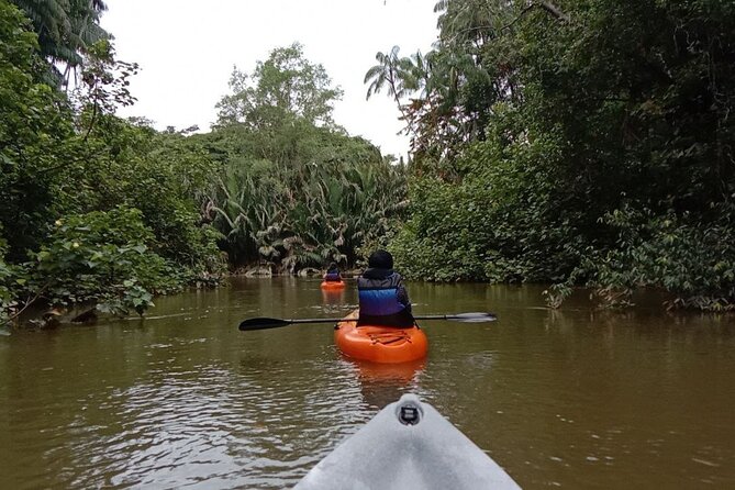 Lebam River Kayaking Adventure - Is $78.20 a fair price?