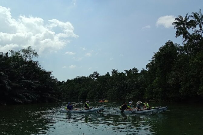 Lebam River Kayaking Adventure - Who will enjoy this river morning
