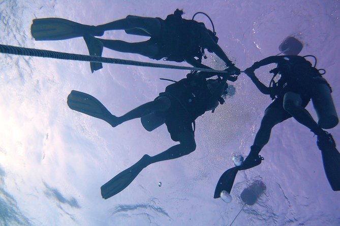 Leisure Diving | Fun Dives | 3 Dives in TARP, Kota Kinabalu - What the three sessions offer