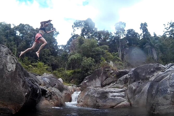 Magical River Trek - Walking beside clear streams and jungle brooks