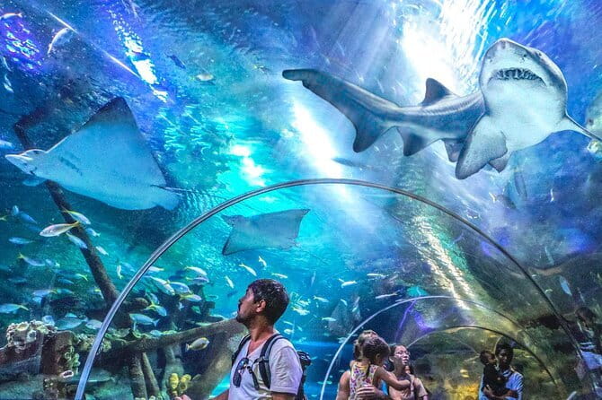 Malaysia: Aquaria KLCC Admission E-Ticket - Why Aquaria KLCC Works So Well in Kuala Lumpur