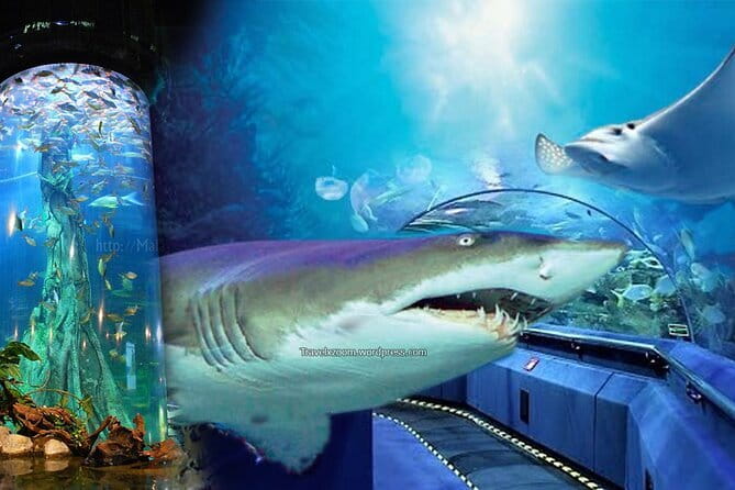 Malaysia: Aquaria KLCC Admission E-Ticket - Is the $12.50 Ticket Good Value?