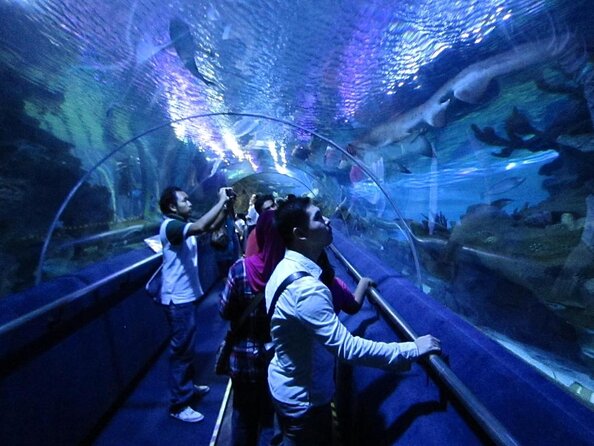 Malaysia: Aquaria KLCC Entry Ticket - Aquaria KLCC’s underwater tunnel is the main event