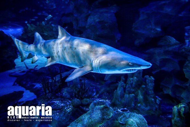 Malaysia: Aquaria KLCC Entry Ticket - The Kuala Lumpur Convention Centre location