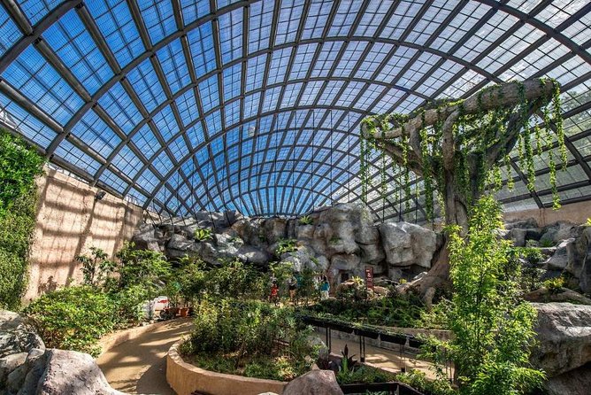 Malaysia: Discover Nature's Wonders with Entopia Entry Ticket - A butterfly farm that feels like a garden