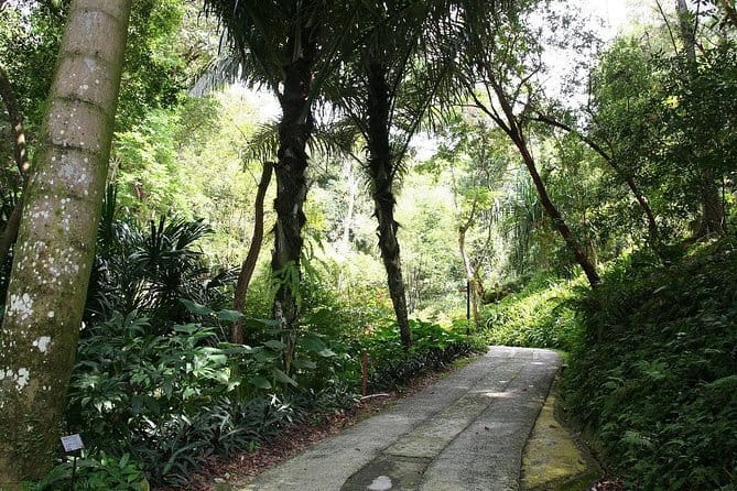 Malaysia: Penang Tropical Spice Garden Guided Tours Tickets - Walking through the eight-acre garden