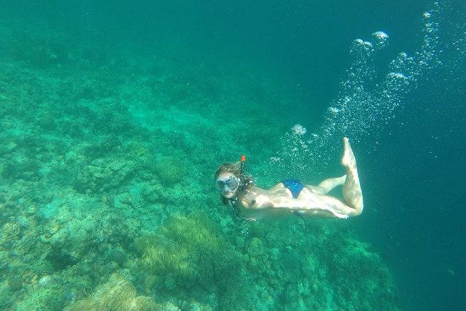 Mamutik + Sapi Island SnorkelingTrip from Kota Kinabalu - How much value do you get for $95?
