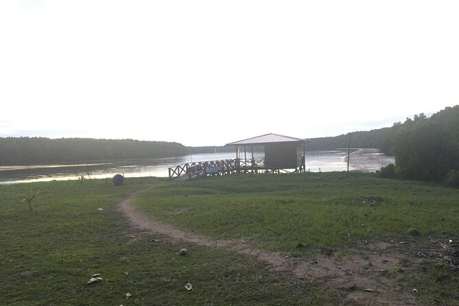 Mangrove Cruise with Fireflies Tour Including Dinner from Sandakan - Who will enjoy this evening most?
