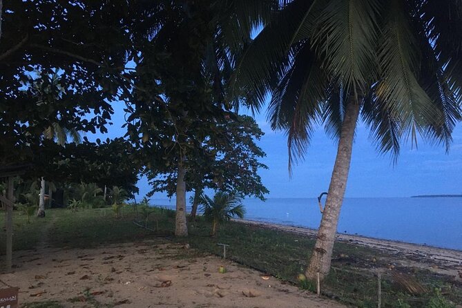 Mangrove Cruise with Fireflies Tour Including Dinner from Sandakan - The 4:30 pm pickup and ride to Pangkalan B&B