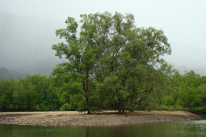 Mangrove River Cruise and Snorkeling Tour from Langkawi - Why this mangrove trip is worth your afternoon
