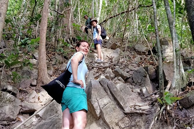 Morning Rainforest Walking from Langkawi - Why the guide matters on this walk