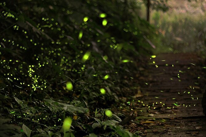 Mystical Nights: Fireflies & Blue Tears Adventure - Sri Shakti Temple in 20 minutes