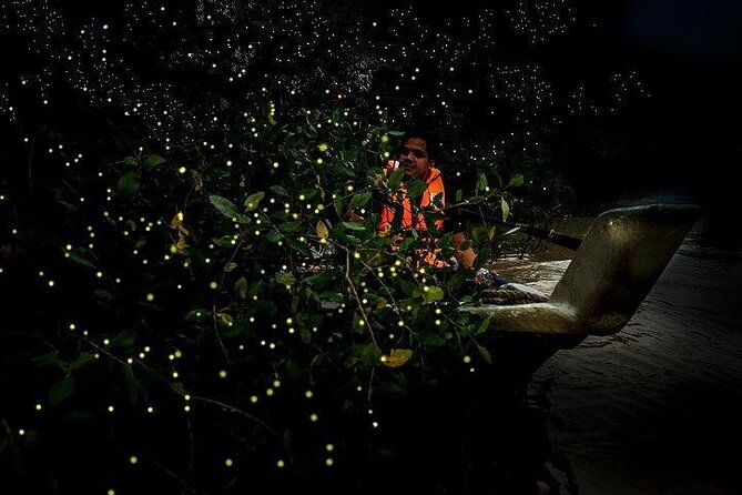 Mystical Nights: Fireflies & Blue Tears Adventure - Leaving Kuala Lumpur at 4pm