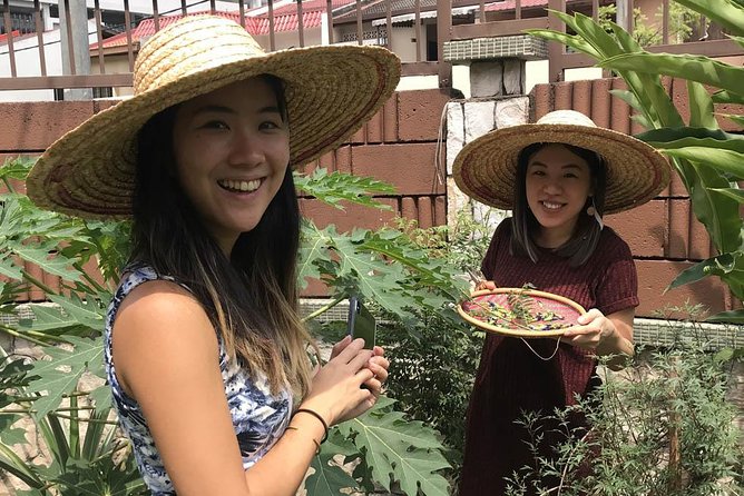 New Malaysian Kitchen Cooking Class and Garden Tour - A Malaysian cooking class in a real family kitchen
