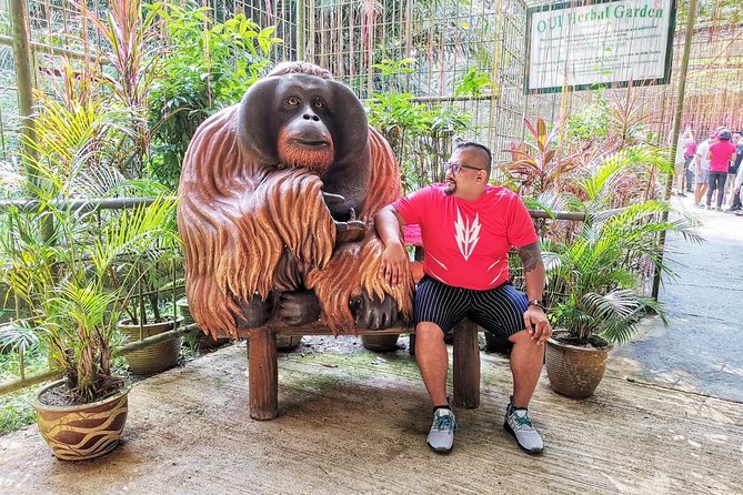 Orang Utan Island Day Tour - Is the $101 price good value?