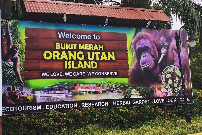 Orang Utan Island Day Tour (Private) - Taiping Lake Gardens adds a quiet green pause