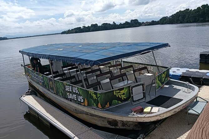Orangutan Island, A Responsible Wildlife Sanctuary Experience - Three hours watching orangutans at the sanctuary