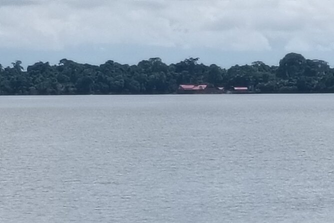 Orangutan Island, A Responsible Wildlife Sanctuary Experience - Conservation lessons that give the visit purpose