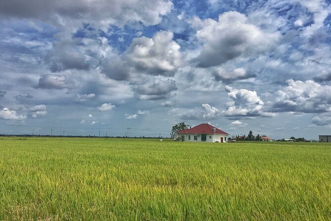 Paddy Field, Fishing Village Sekinchan DAY Tour Lunch (SIC-Shared/Join In Tour) - Bagan fishing village and the colorful jetty