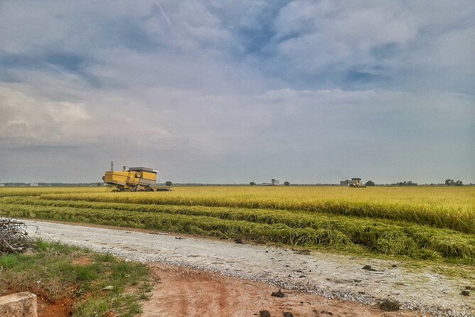 Paddy Field, Fishing Village Sekinchan DAY Tour Lunch (SIC-Shared/Join In Tour) - Who will enjoy this day trip most