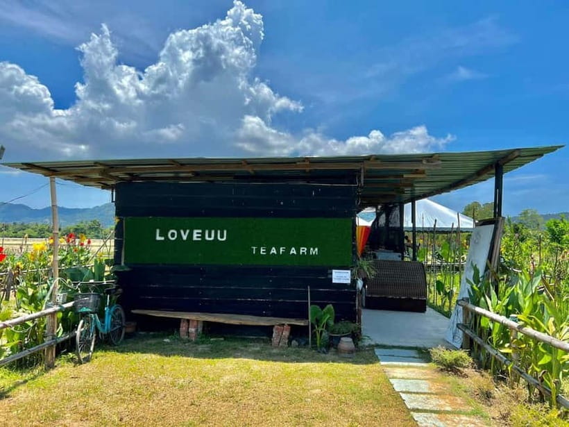 Penang: ATV Ride in Balik Pulau with Snacks and Transfers - Why Balik Pulau makes a good ATV setting