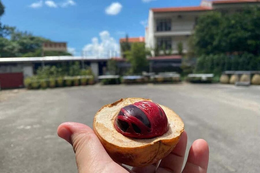 Penang: Balik Pulau Culture Experience & Village Tour - Why Balik Pulau makes a good half-day escape