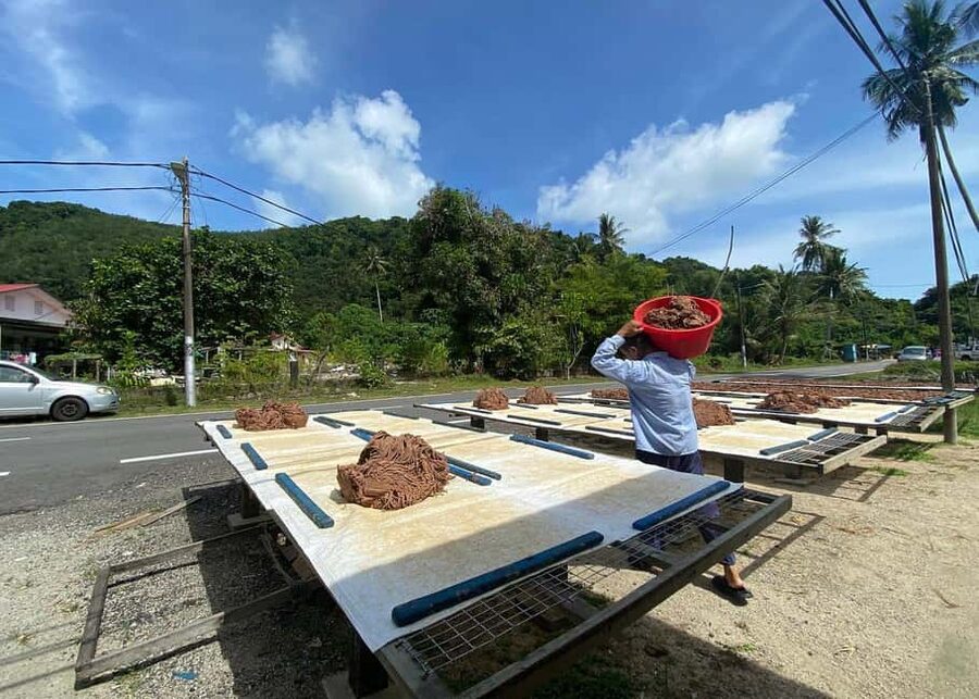 Penang: Balik Pulau Culture Experience & Village Tour - Walking, comfort, and the pace of the morning