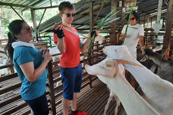 Penang Countryside Cycling Tour. PPA2 by Matahari - Hamlets, a goat farm, and the first easy miles